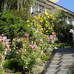 Apartment Jepsen